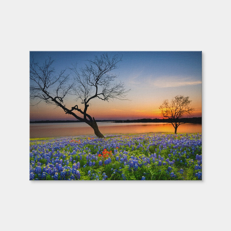 AUTO-MOCKUP WHITE | Blooming Bluebonnet Wildflower Field | 1 Piece | Gallery Wrap Canvas | group=4x3