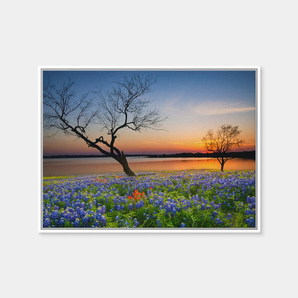 Blooming Bluebonnet Wildflower Field Wall Art — Framed Canvas Format preview