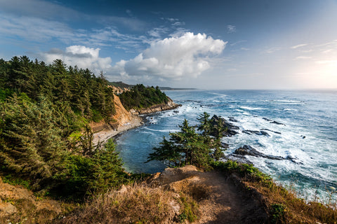 Blue Coast Wall Art