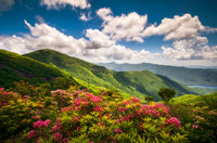 Blue Ridge Parkway Wall Art