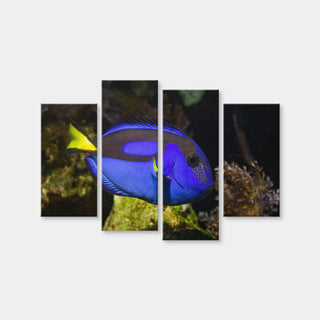 AUTO-MOCKUP WHITE | Blue Tang | 4 Piece | Gallery Wrap Canvas | group=4_short