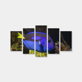 AUTO-MOCKUP WHITE | Blue Tang | 5 Piece | Gallery Wrap Canvas | group=5_normal