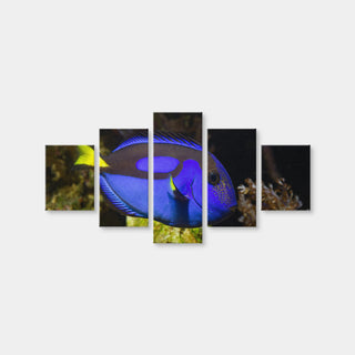 AUTO-MOCKUP WHITE | Blue Tang | 5 Piece | Gallery Wrap Canvas | group=5_short
