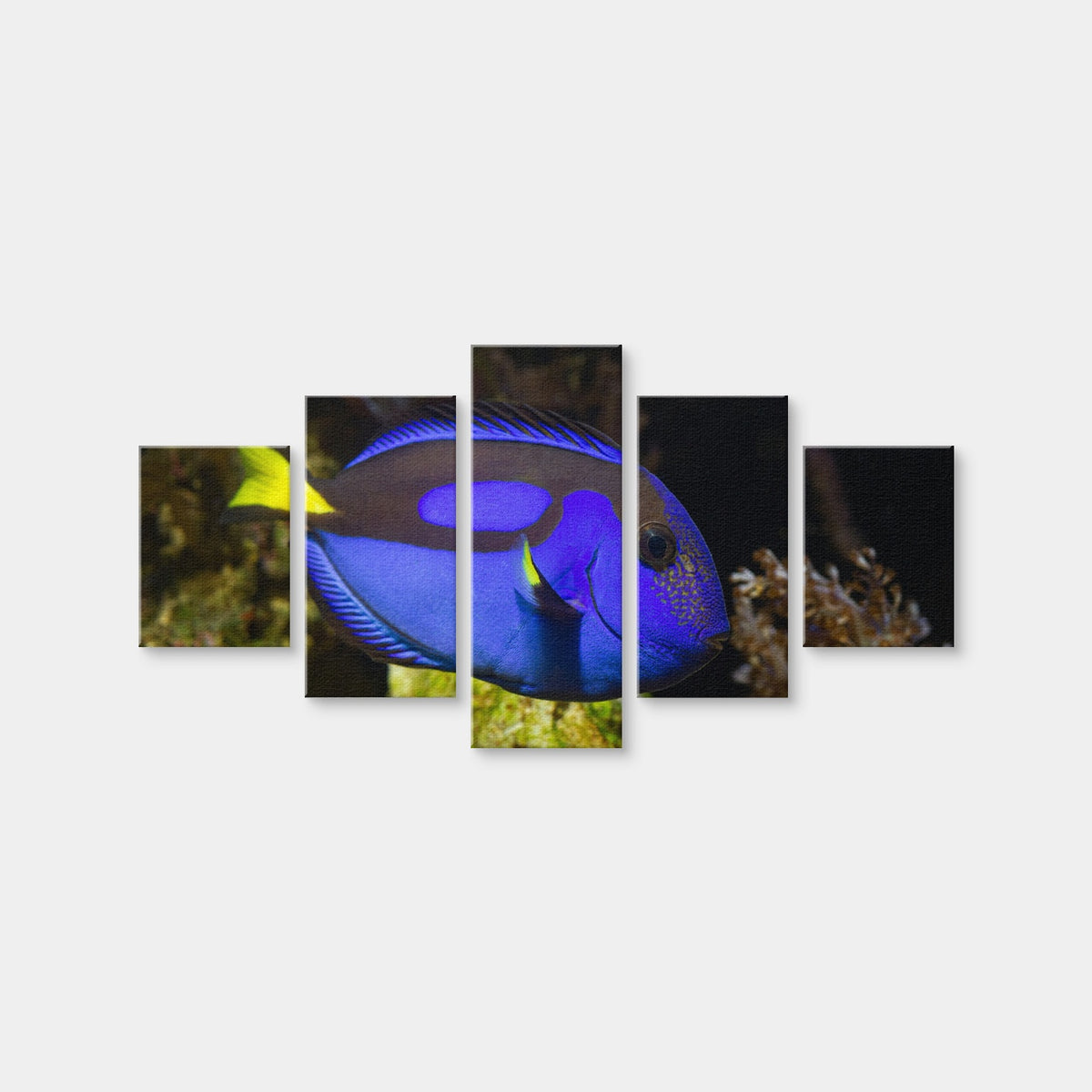 AUTO-MOCKUP WHITE | Blue Tang | 5 Piece | Gallery Wrap Canvas | group=5_short