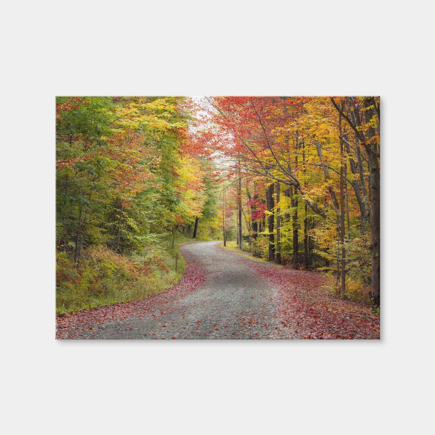 AUTO-MOCKUP WHITE | Blueberry Lane | 1 Piece | Gallery Wrap Canvas | group=4x3
