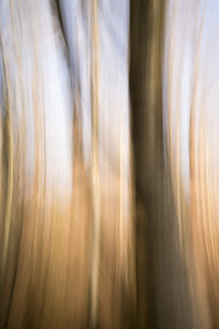 Blurred Heath Wall Art