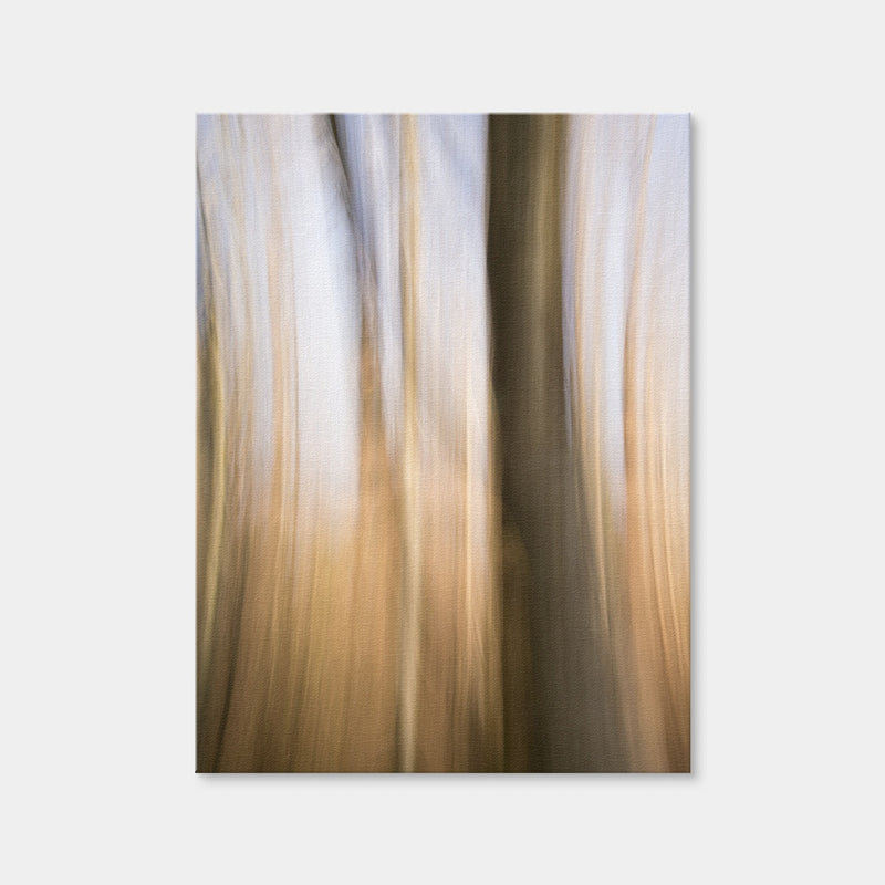 AUTO-MOCKUP WHITE | Blurred Heath | 1 Piece | Gallery Wrap Canvas | group=3x4