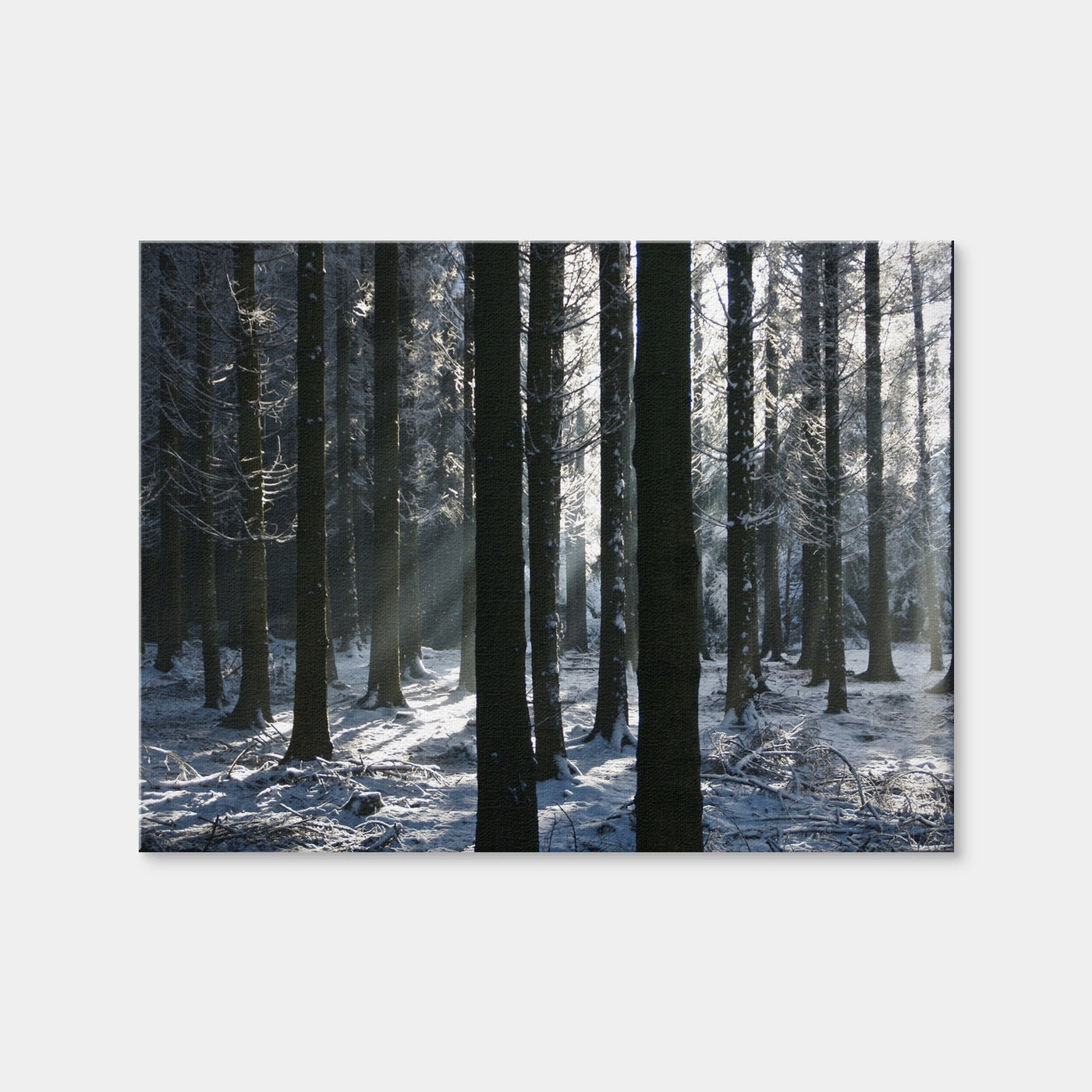 AUTO-MOCKUP WHITE | Bois Jacques Battle of the Bulge | 1 Piece | Gallery Wrap Canvas | group=4x3