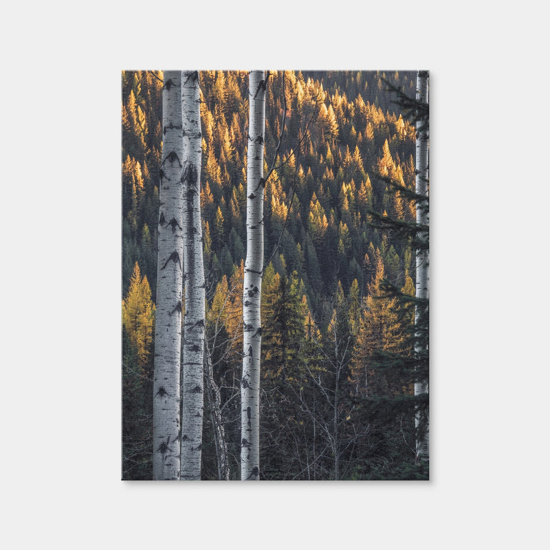 AUTO-MOCKUP WHITE | Bonanza Pass | 1 Piece | Gallery Wrap Canvas | group=3x4