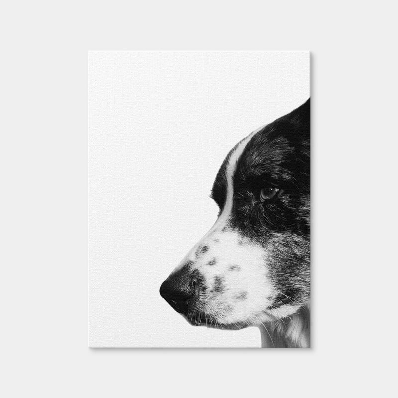 AUTO-MOCKUP WHITE | Border Collie | 1 Piece | Gallery Wrap Canvas | group=3x4