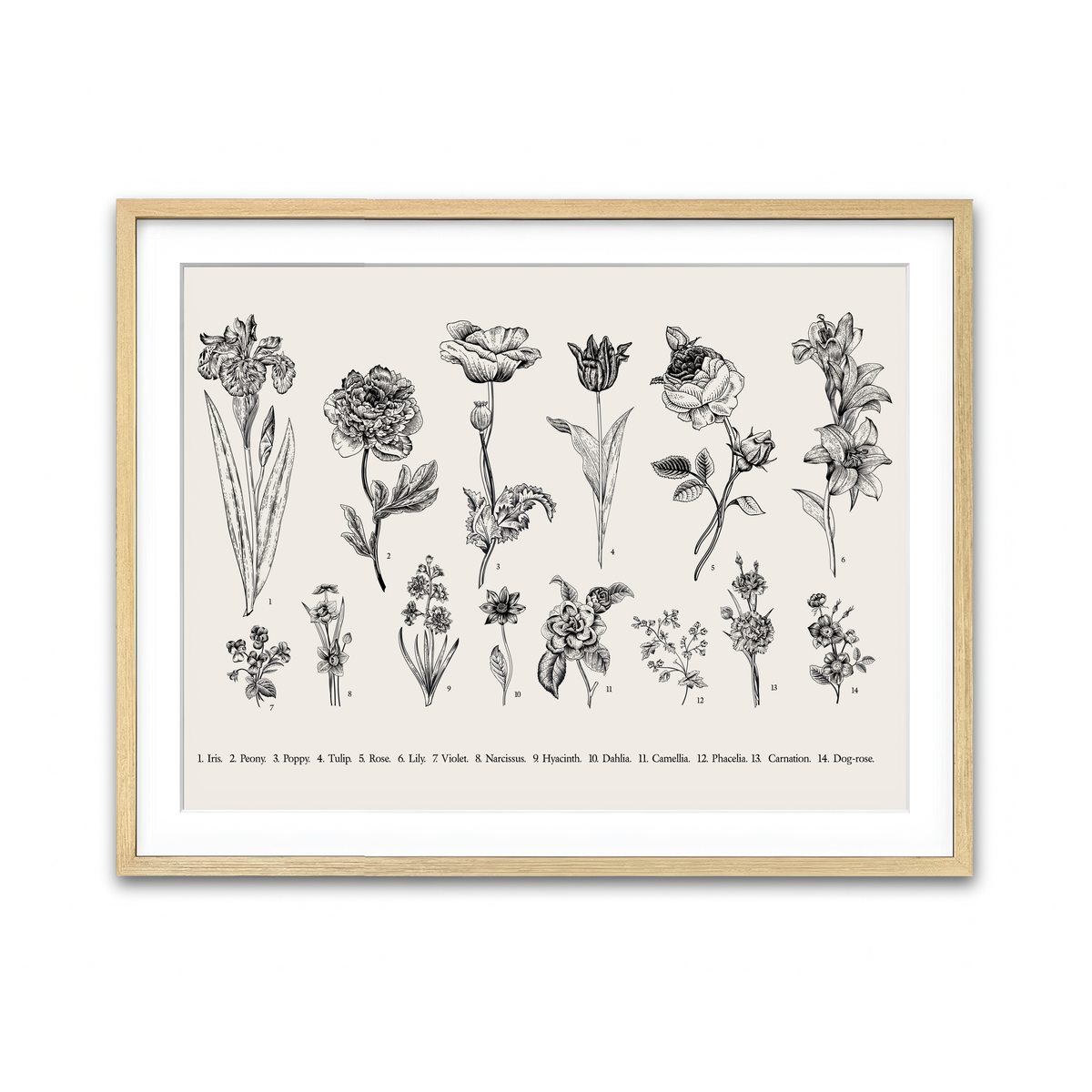 Framed Print 4x3 Natural