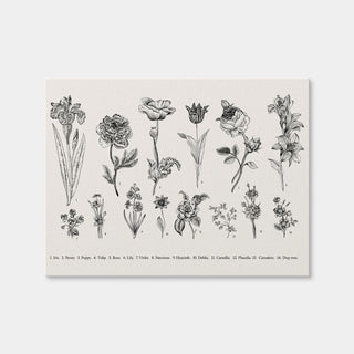 AUTO-MOCKUP WHITE | Botany Set Vintage Flowers | 1 Piece | Gallery Wrap Canvas | group=4x3