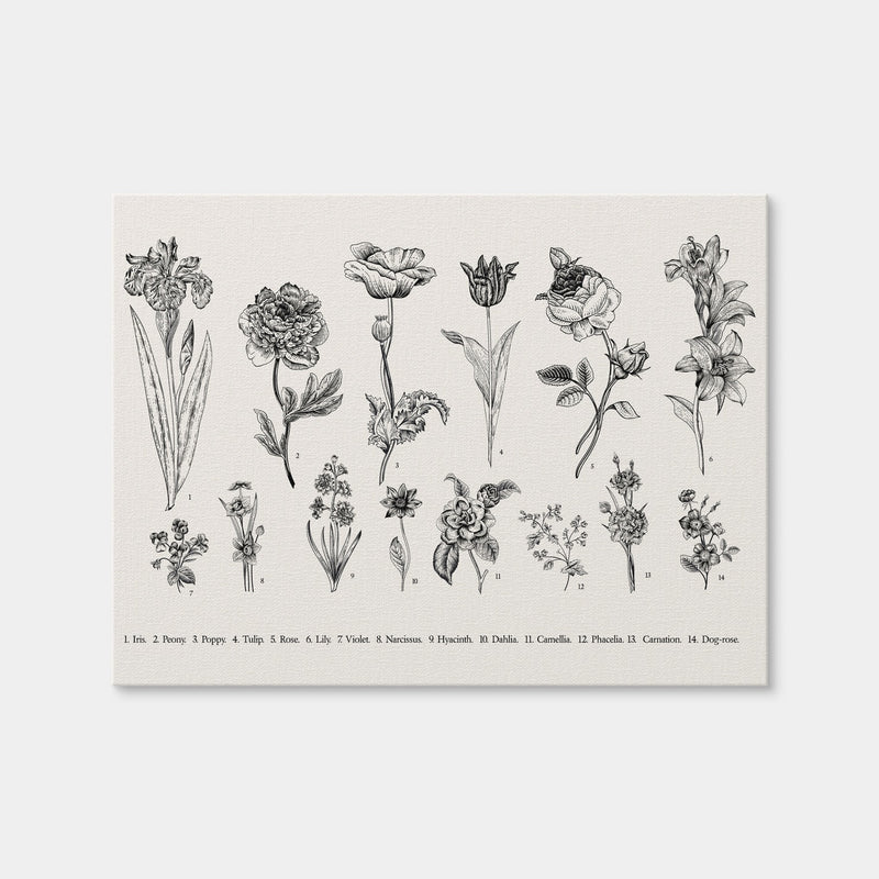 AUTO-MOCKUP WHITE | Botany Set Vintage Flowers | 1 Piece | Gallery Wrap Canvas | group=4x3
