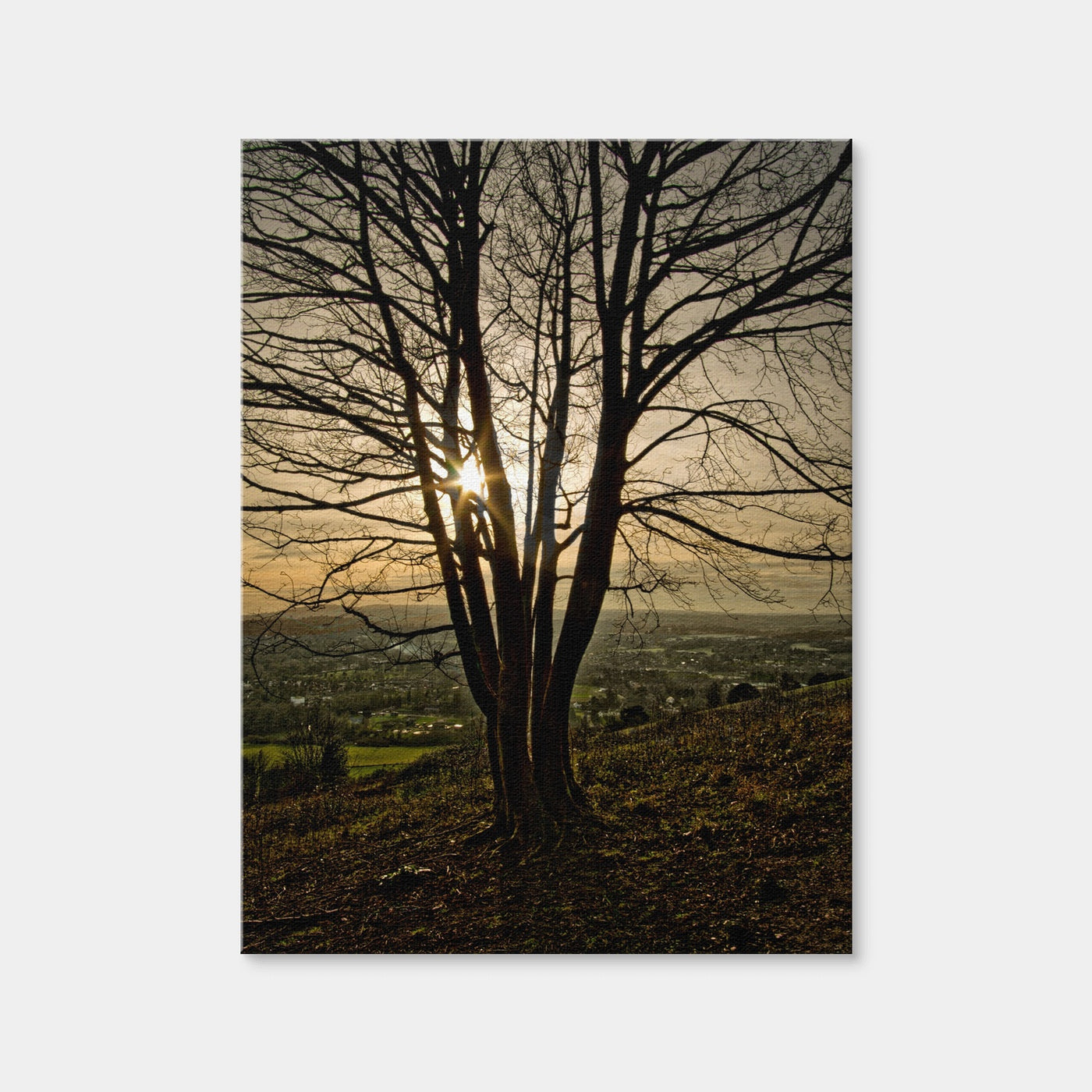AUTO-MOCKUP WHITE | Box Hill Sunset | 1 Piece | Gallery Wrap Canvas | group=3x4
