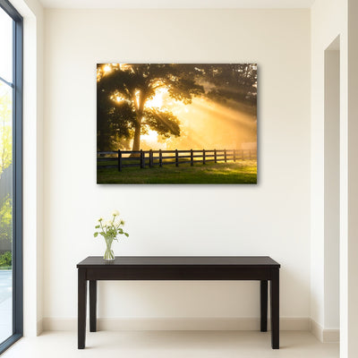 AUTO-MOCKUP ROOM | Break of Dawn