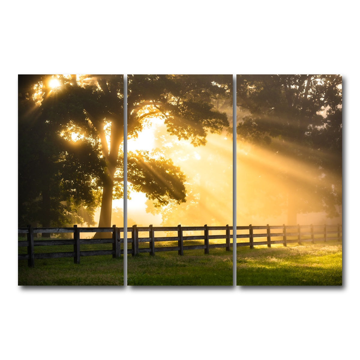 AUTO-MOCKUP WHITE | Break of Dawn | 3 Piece | Gallery Wrap Canvas | group=12x24