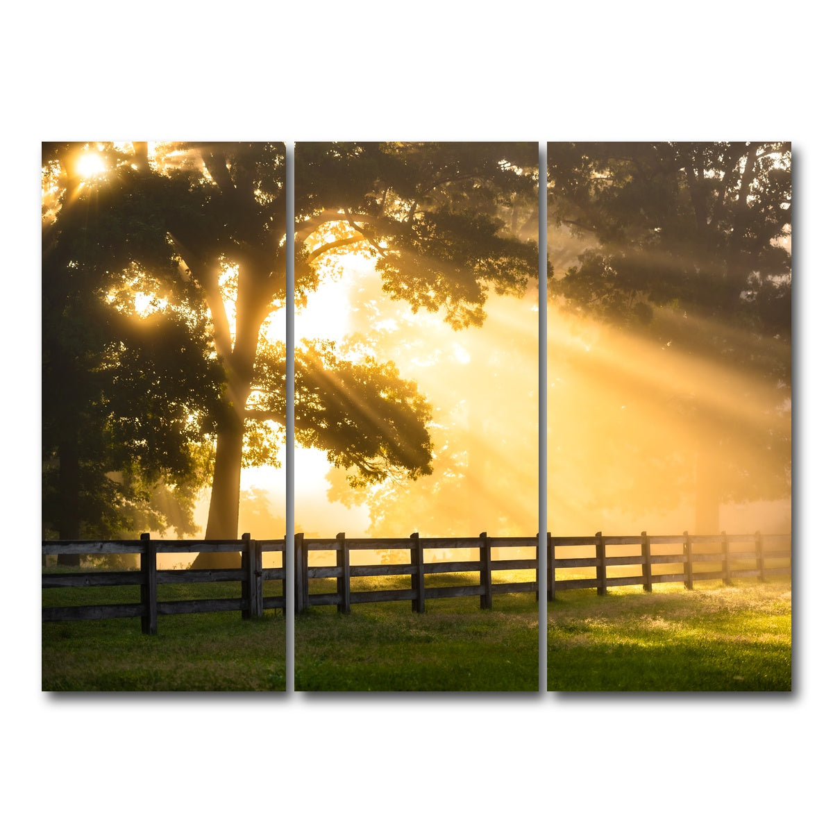 AUTO-MOCKUP WHITE | Break of Dawn | 3 Piece | Gallery Wrap Canvas | group=8x18
