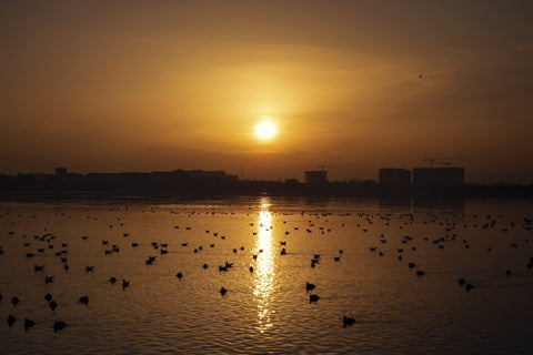 Bucharest Sunset 7 Wall Art