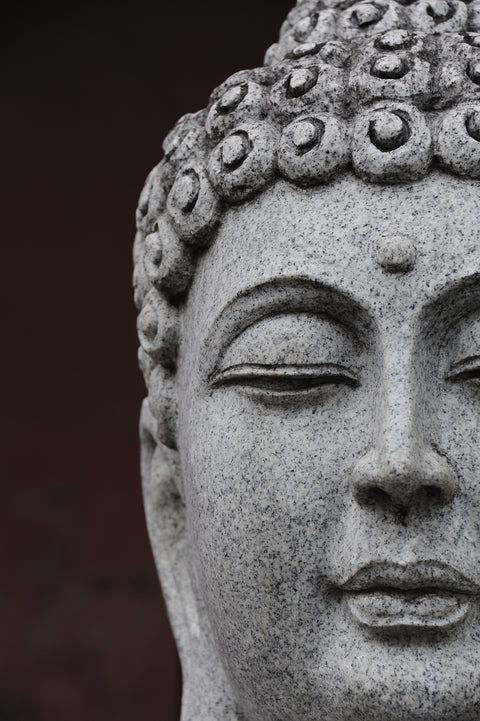 Buddha Close-Up Wall Art