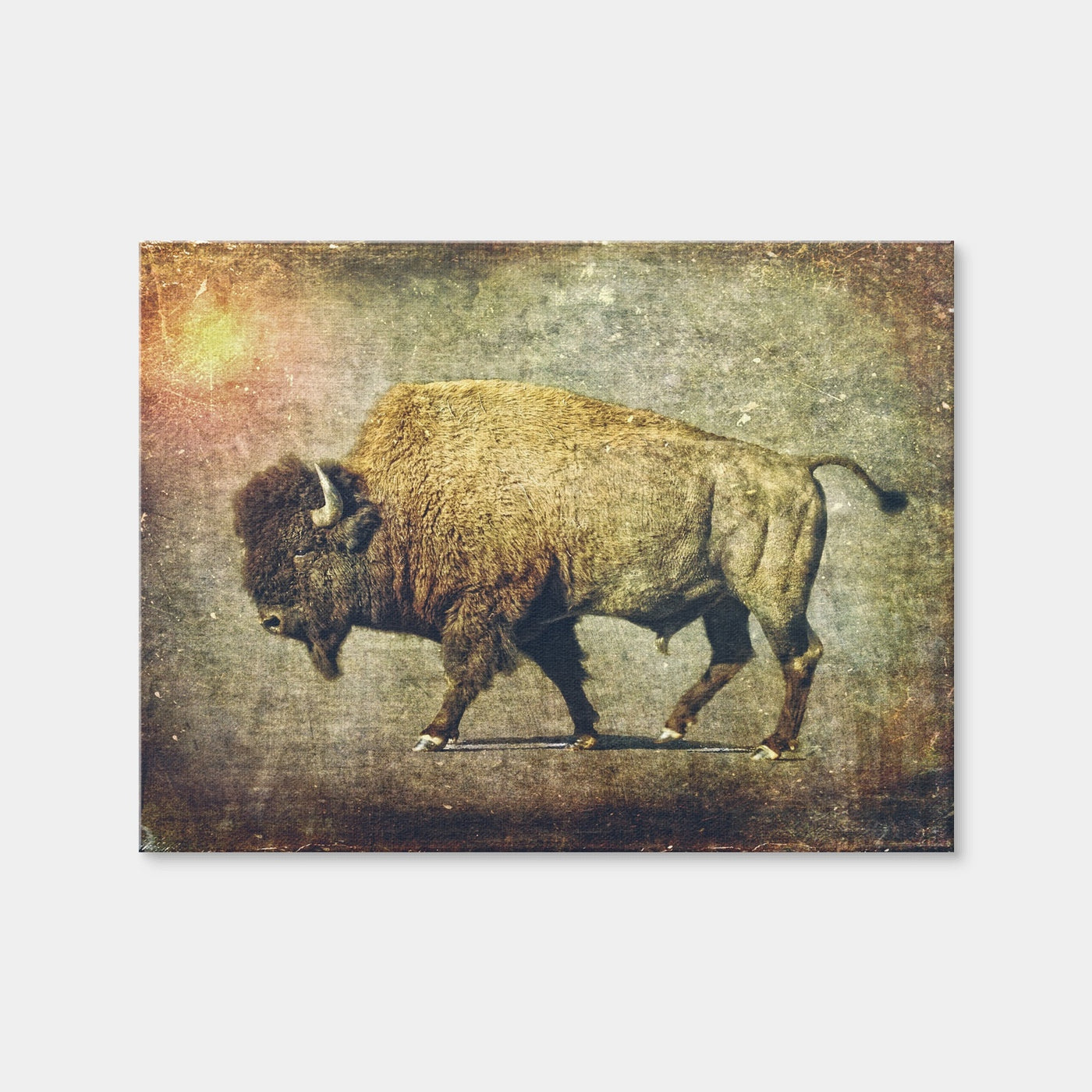 AUTO-MOCKUP WHITE | Buffalo Art | 1 Piece | Gallery Wrap Canvas | group=4x3