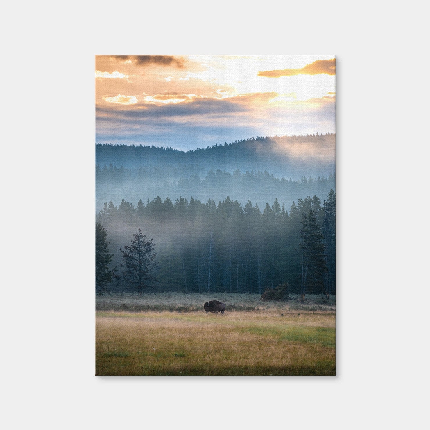 AUTO-MOCKUP WHITE | Buffalo Sunrise | 1 Piece | Gallery Wrap Canvas | group=3x4