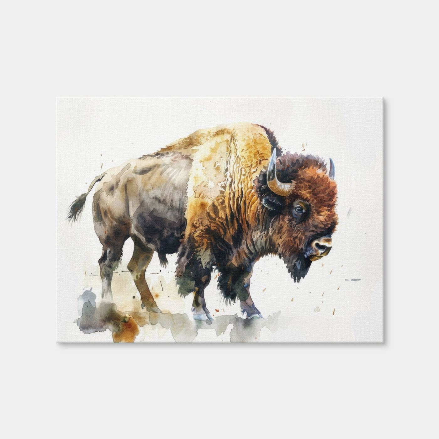 AUTO-MOCKUP WHITE | Buffalo on White | 1 Piece | Gallery Wrap Canvas | group=4x3