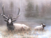 Bull Elk & Calf Wall Art