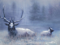 Bull Elk & Calf Blue Wall Art