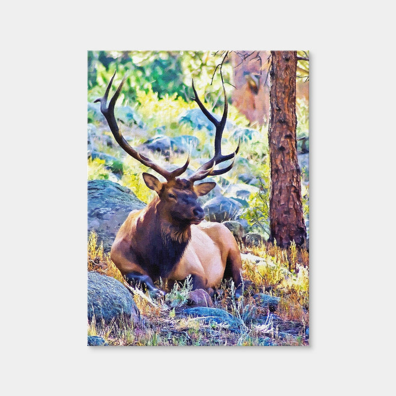 AUTO-MOCKUP WHITE | Bull Elk | 1 Piece | Gallery Wrap | group=3x4