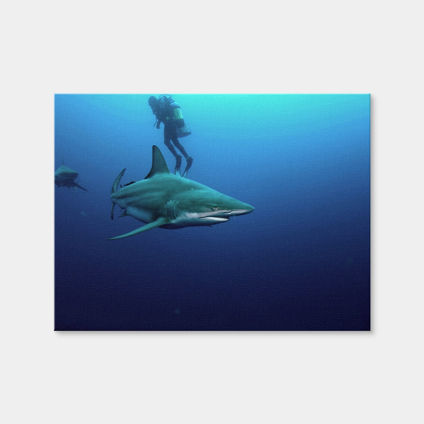 AUTO-MOCKUP WHITE | Bull Shark & Diver | 1 Piece | Gallery Wrap Canvas | group=4x3