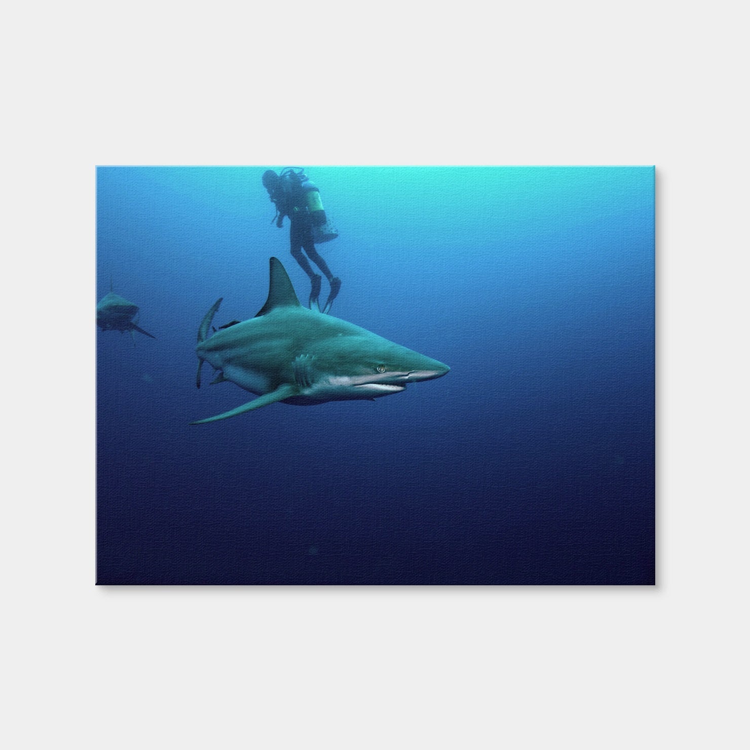 AUTO-MOCKUP WHITE | Bull Shark & Diver | 1 Piece | Gallery Wrap Canvas | group=4x3
