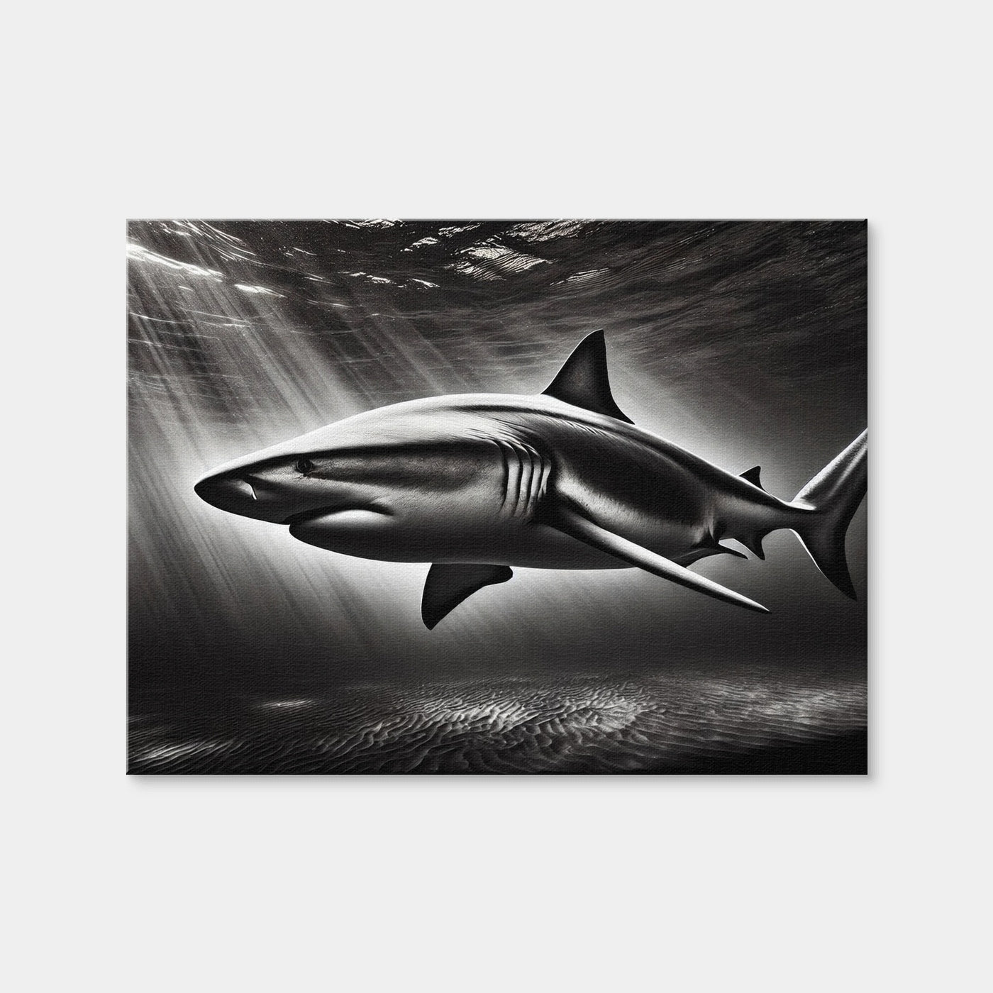 AUTO-MOCKUP WHITE | Bull Shark Grayscale | 1 Piece | Gallery Wrap Canvas | group=4x3