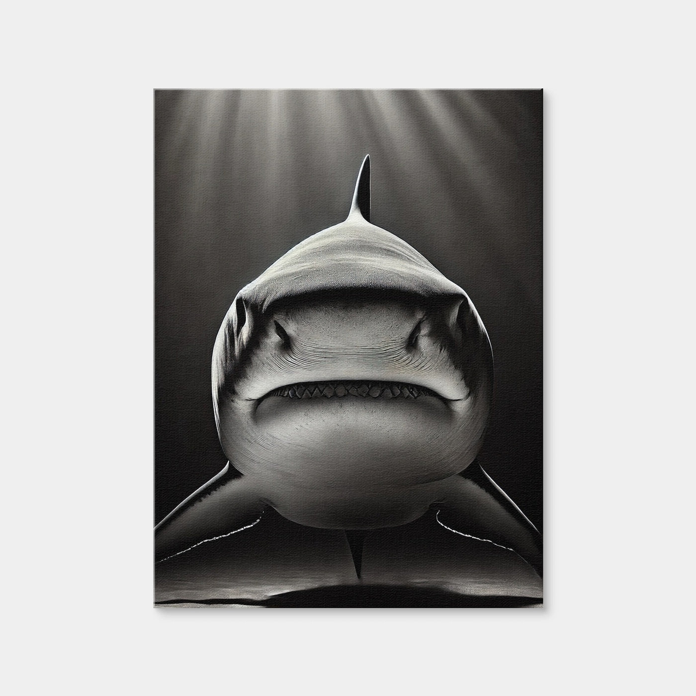 AUTO-MOCKUP WHITE | Bull Shark Head On | 1 Piece | Gallery Wrap Canvas | group=3x4