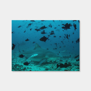 AUTO-MOCKUP WHITE | Bull Shark and Reef Fish | 1 Piece | Gallery Wrap Canvas | group=4x3