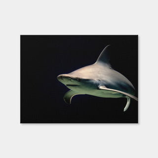 AUTO-MOCKUP WHITE | Bull Shark at Night | 1 Piece | Gallery Wrap Canvas | group=4x3