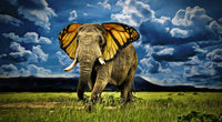 Butterfly Elephant Wall Art
