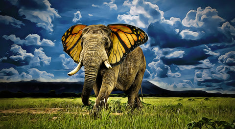 Butterfly Elephant Wall Art