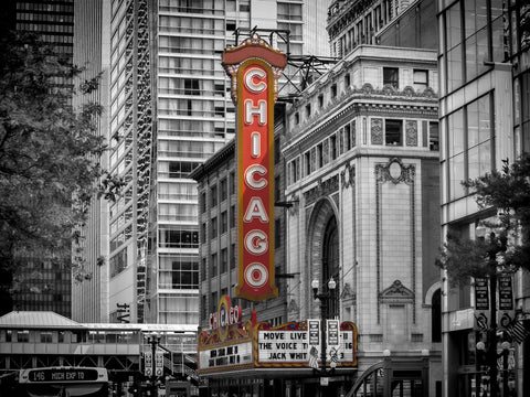 CHICAGO State Street Wall Art