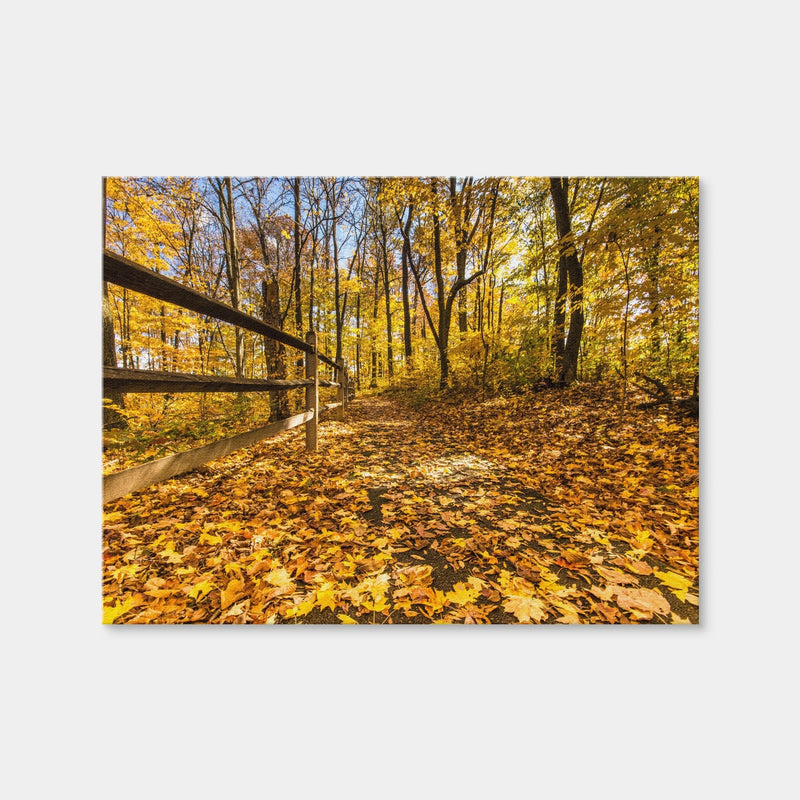 AUTO-MOCKUP WHITE | Caesar Creek State Park Fall Foliage | 1 Piece | Gallery Wrap Canvas | group=4x3