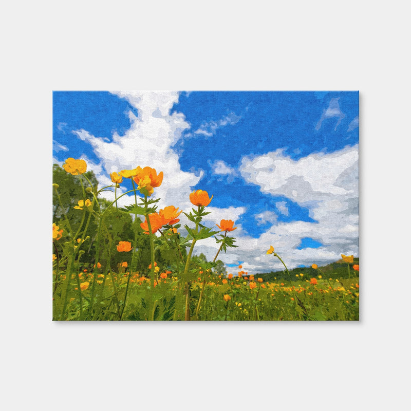 AUTO-MOCKUP WHITE | California Poppies Under The Blue Skies | 1 Piece | Gallery Wrap Canvas | group=4x3