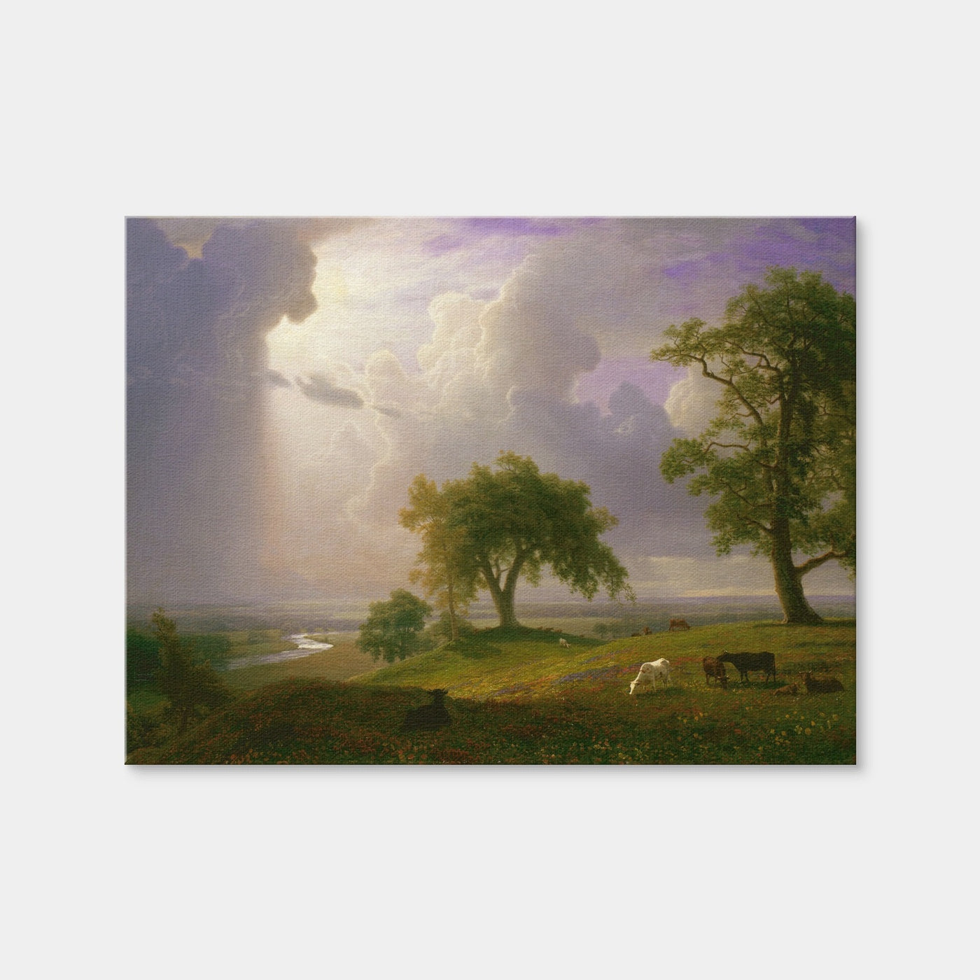 AUTO-MOCKUP WHITE | California Spring | 1 Piece | Gallery Wrap Canvas | group=4x3
