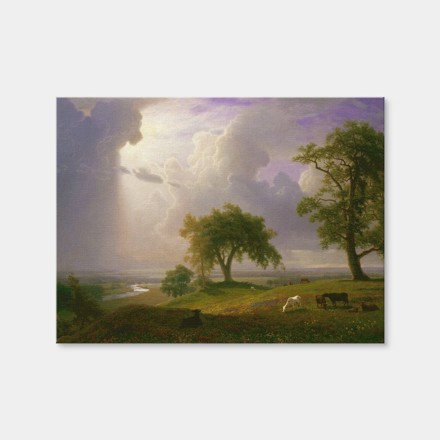 AUTO-MOCKUP WHITE | California Spring | 1 Piece | Gallery Wrap Canvas | group=4x3