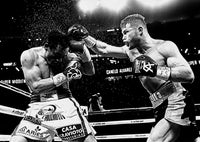 Canelo vs Chavez Jr Grayscale Wall Art