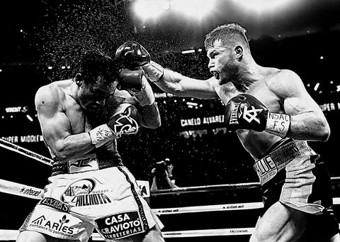 Canelo vs Chavez Jr Grayscale Wall Art