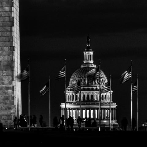 Capitol Wall Art