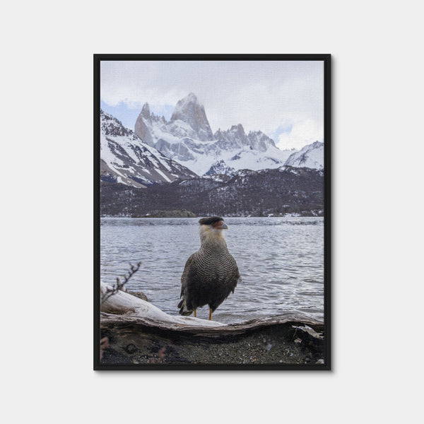Carcara and Fitz Roy Wall Art — Framed Canvas Format preview