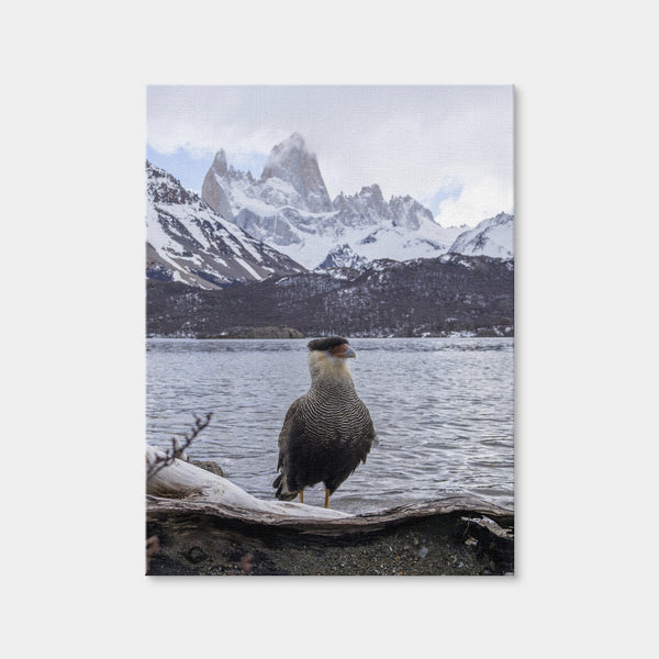 Carcara and Fitz Roy Wall Art — Canvas Wrap Format preview