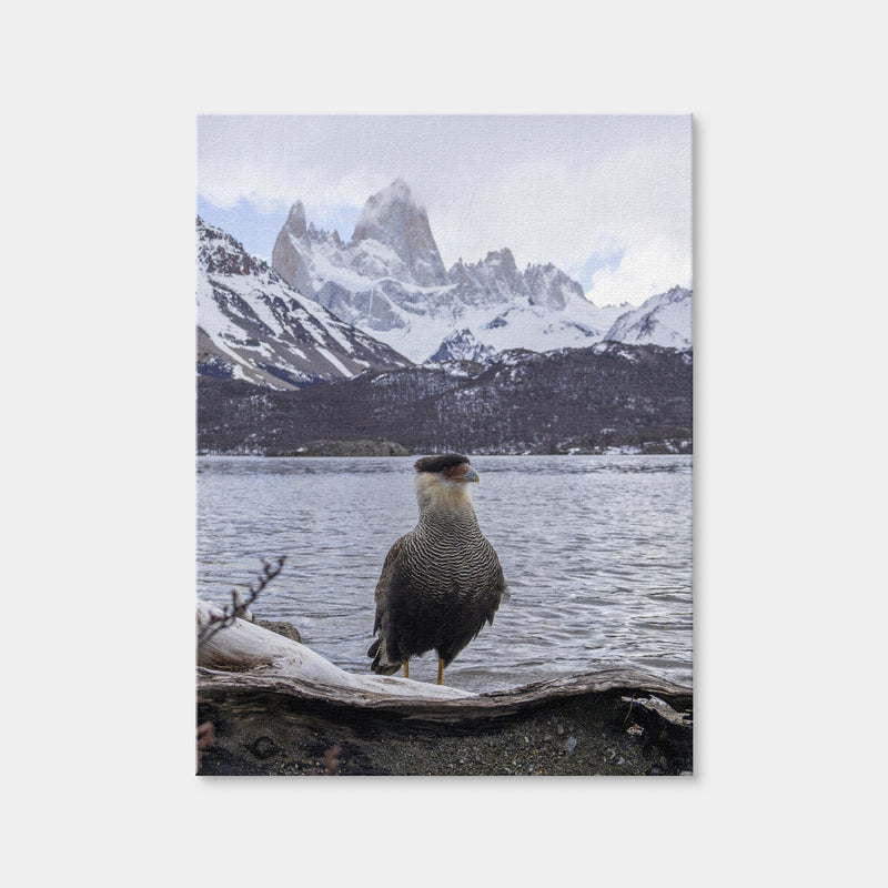 AUTO-MOCKUP WHITE | Carcara and Fitz Roy | 1 Piece | Gallery Wrap Canvas | group=3x4