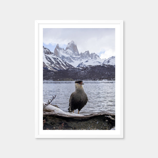 Carcara and Fitz Roy Wall Art — Framed Print Format preview