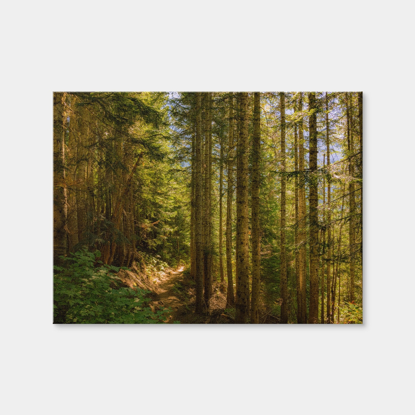 AUTO-MOCKUP WHITE | Cascade Pass | 1 Piece | Gallery Wrap Canvas | group=4x3